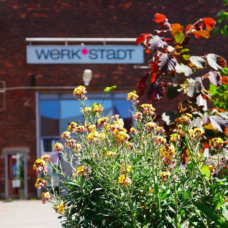 Zu sehen sind Blumen und Sträucher in der Sommerblüte und im Hinterfrund ist die Eingangstür der WERK°STADT zu sehen.